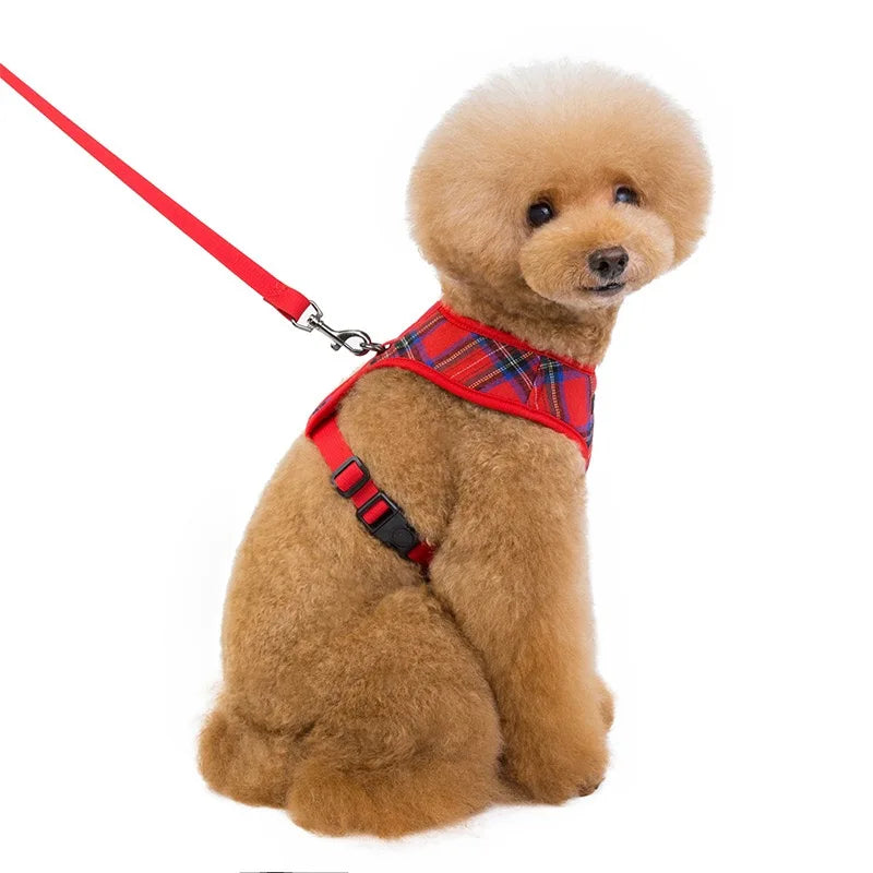 Dog Harness & Leash Set — Soft Vest with 47" Leash for Small & Medium Dogs | Lattice, Denim, Velvet & Print Styles
