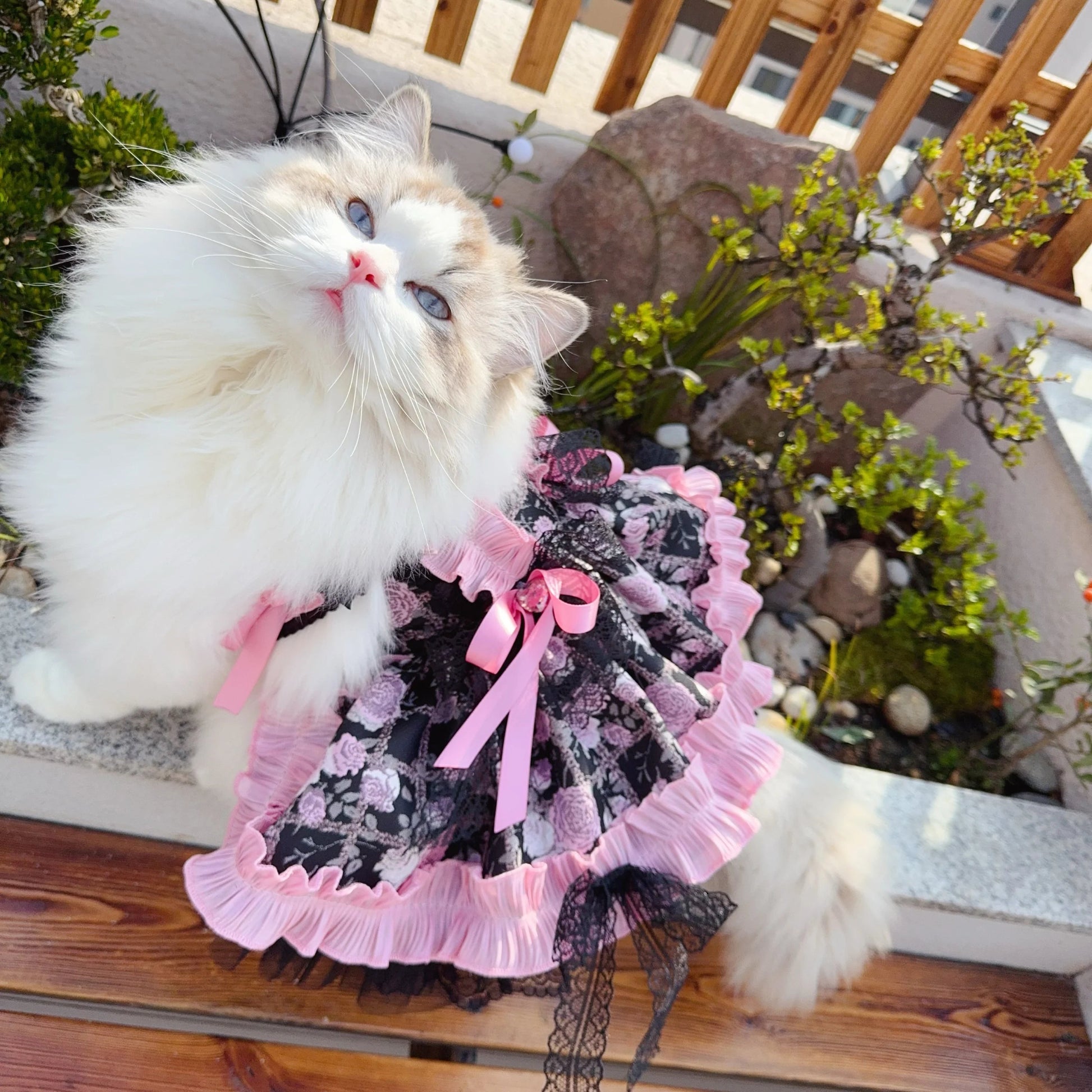 Lovely Pet Dog Clothes Luxury Handmade Black Pink Flower Print Long Tail Princess Dresses For Small Medium Dog Chihuahua Puppy Fashioned Furbabies