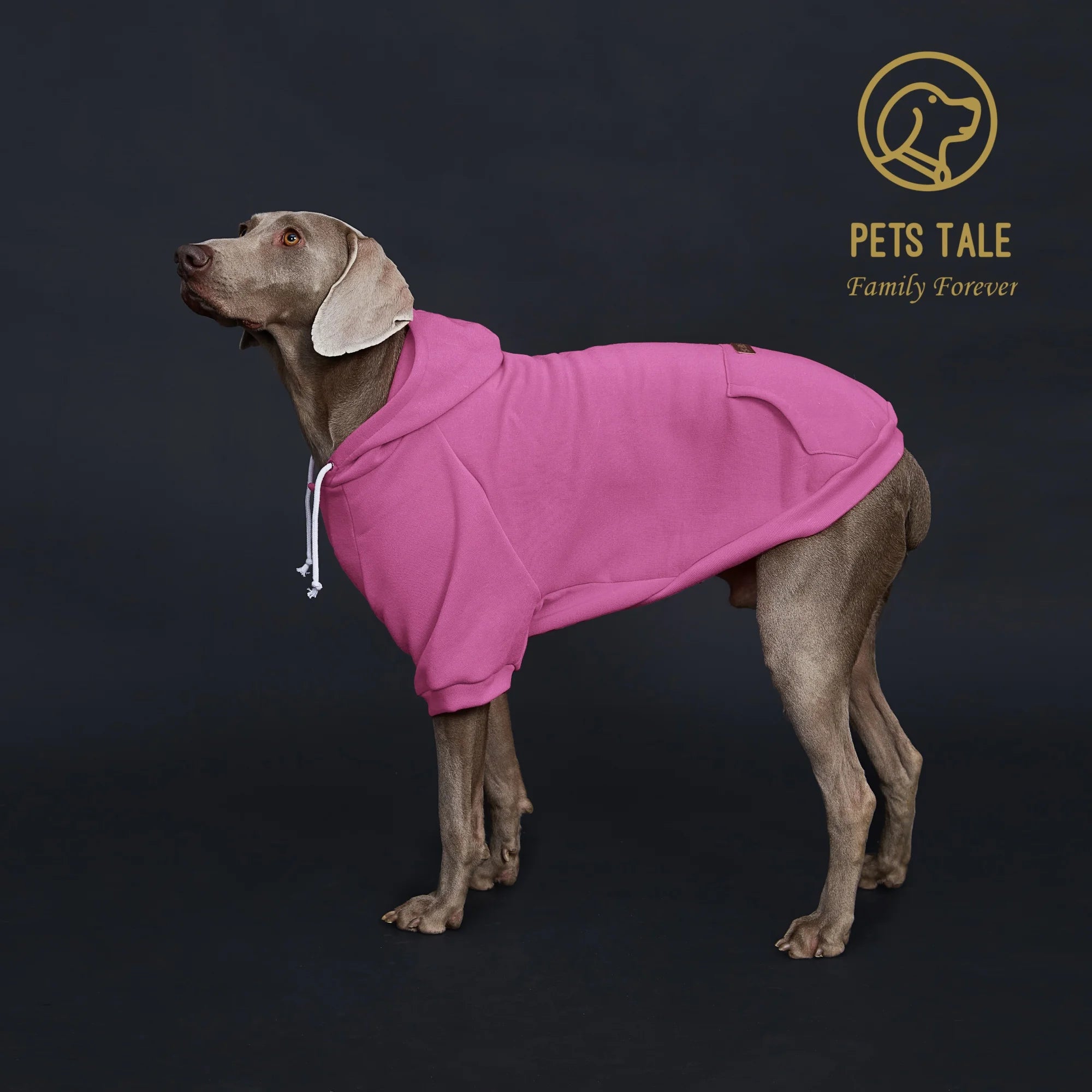 Dog Hoodie with Pocket, Leather Patch, Hook and Loop Fastener Collar -