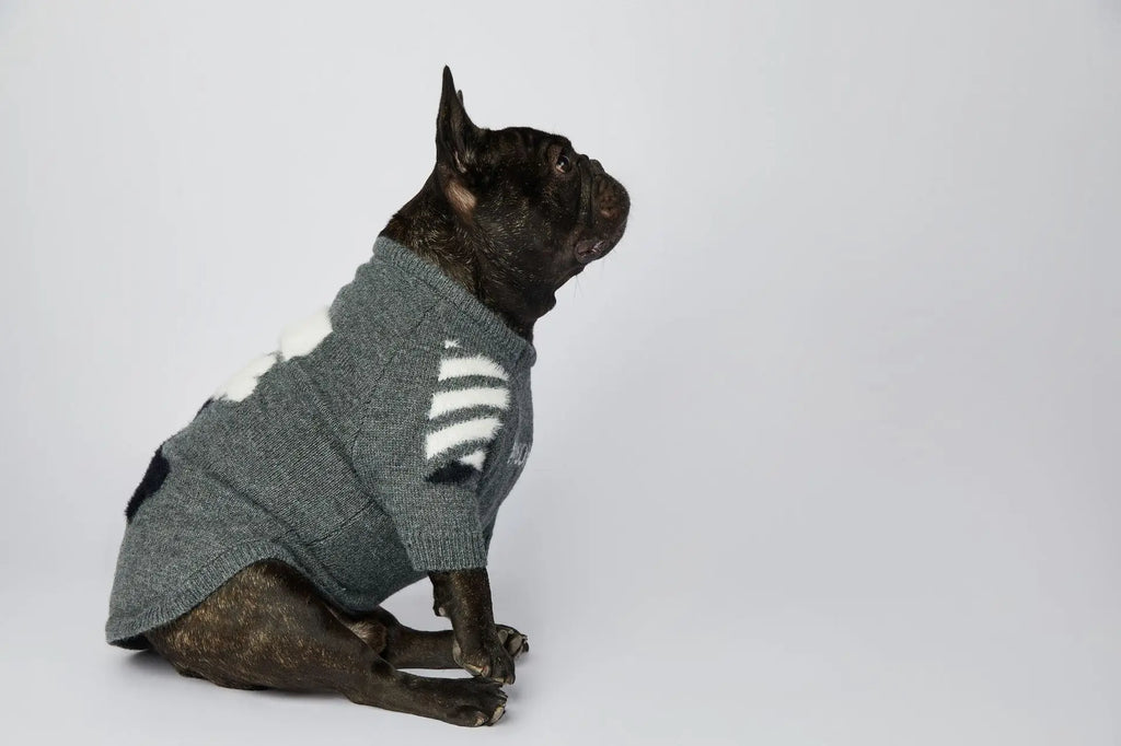 WOOF Knit Dog Sweater — Thick Cotton Jumper for French Bulldogs & Small-Medium Dogs | S–3XL