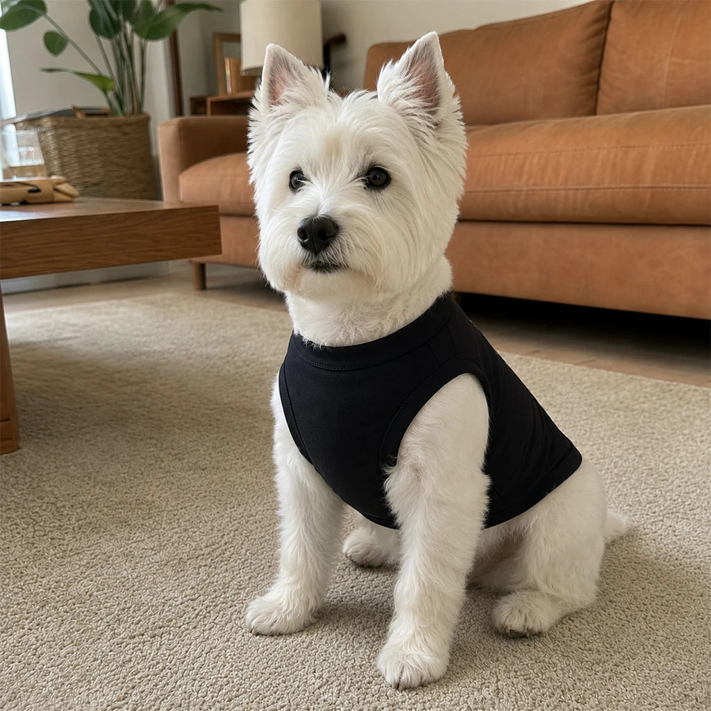 "No More Pretending" Funny Dog Singlet — Breathable Cotton Vest for Small & Medium Dogs | XS–3XL