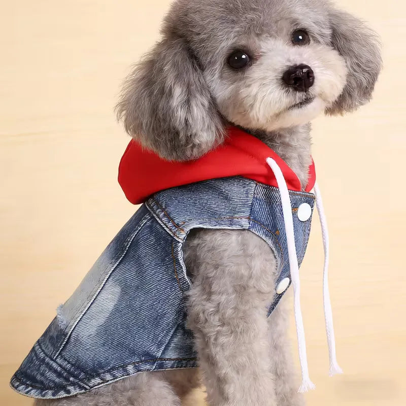 Denim Pet Clothes for Small Dogs Puppy Jeans Hoodie with Gray Cap Blue Denim Chihuahua Jacket 2026 New Designer Cowboy Shirt