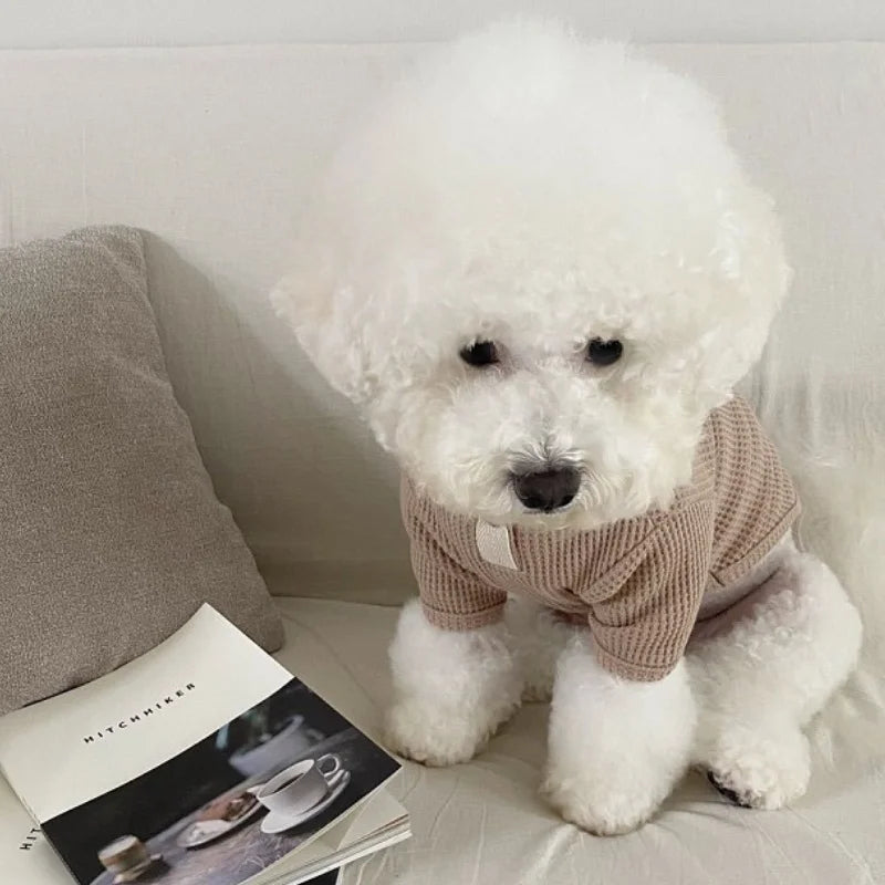 Autumn Winter Dog Shirt Soft Dog Clothes Cute Solid Puppy Bottoming Shirt Fashion Cat Vest Pet Undershirts Bichon Frise Costumes
