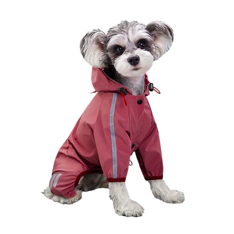 Raincoats Dog Reflective