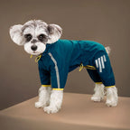 Raincoats Dog Reflective