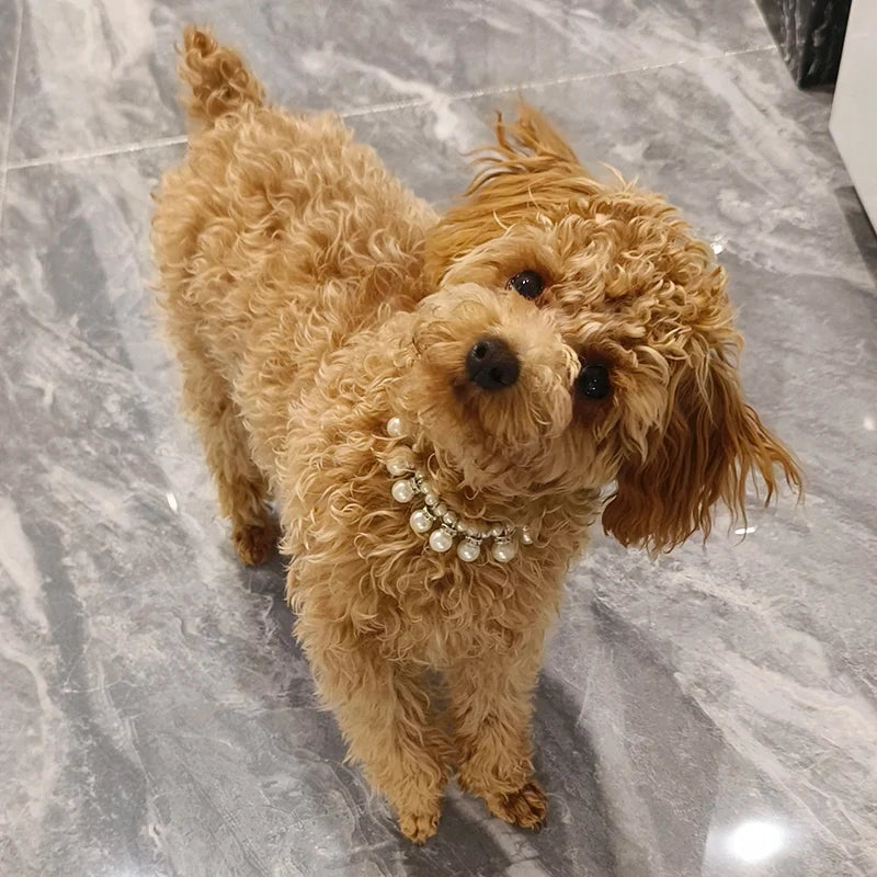 Luxury Pearl & Rhinestone Dog Necklace Collar | Bling Pet Collar | S–L