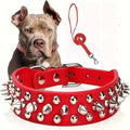 Spiked Rivet Leather Dog Collar & Leash Set | Adjustable | Outdoor Walking