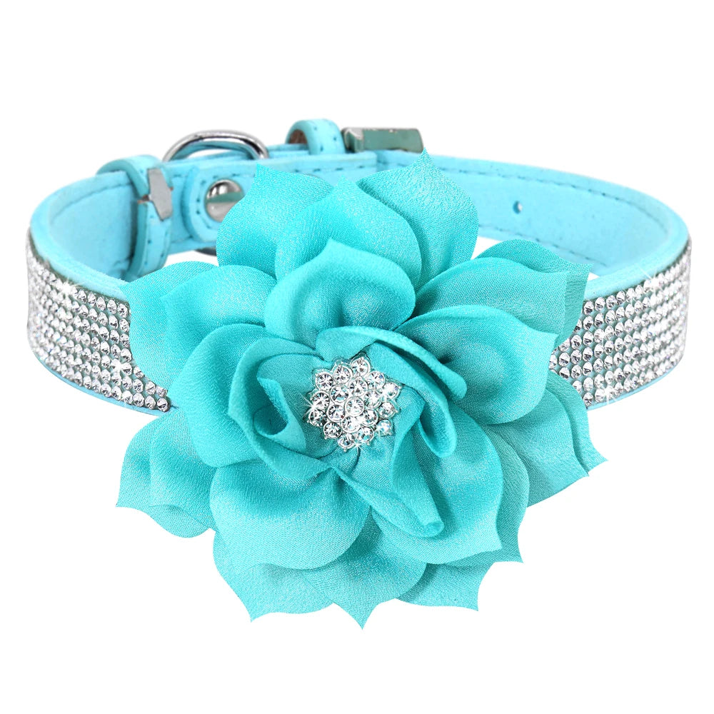 Rhinestone Dog Collar — Glitter Floral Suede Leather Collar & Optional 4ft Leash Set | Black, Blue, Pink & Purple | XS–L