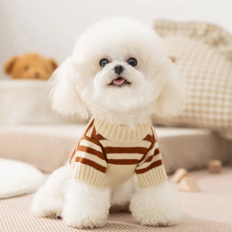 Bear Knit Dog Sweaters