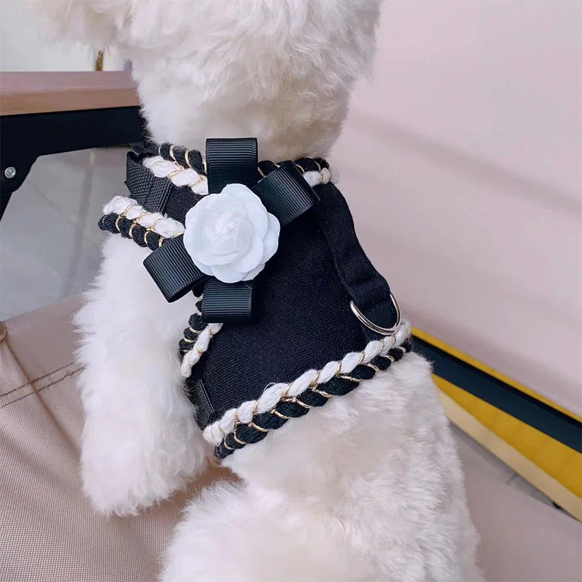 Designer Dog Harness & Leash Set