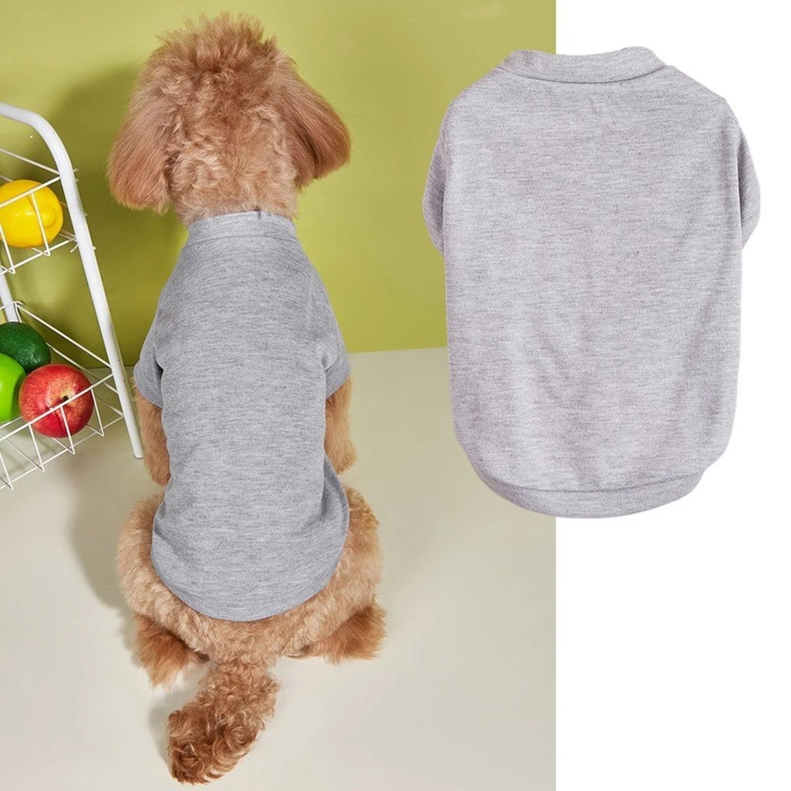 Lightweight Dog T-Shirt