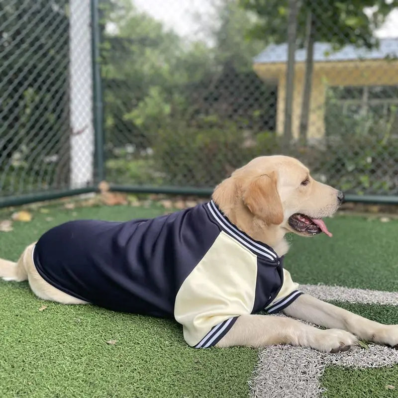 Big Dog Baseball Suit
