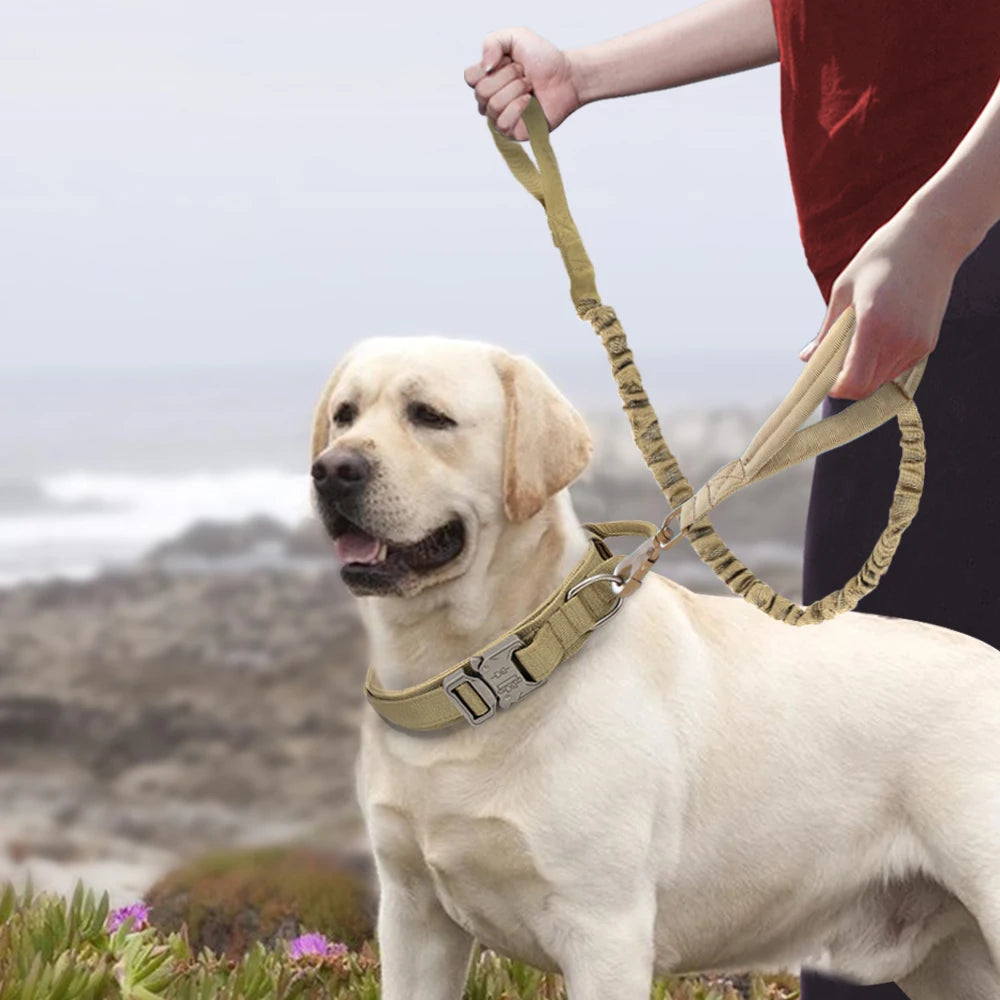 Durable Military Tactical Dog Collar Bungee Leash Set Pet Nylon Walking Training Collar For Medium Large Dogs German Shepard Fashioned Furbabies