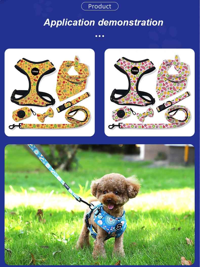 Custom Neoprene Waterproof Padded Mesh Designer Pet Bandana Neck Collar Lead Set Dog Harness Leash