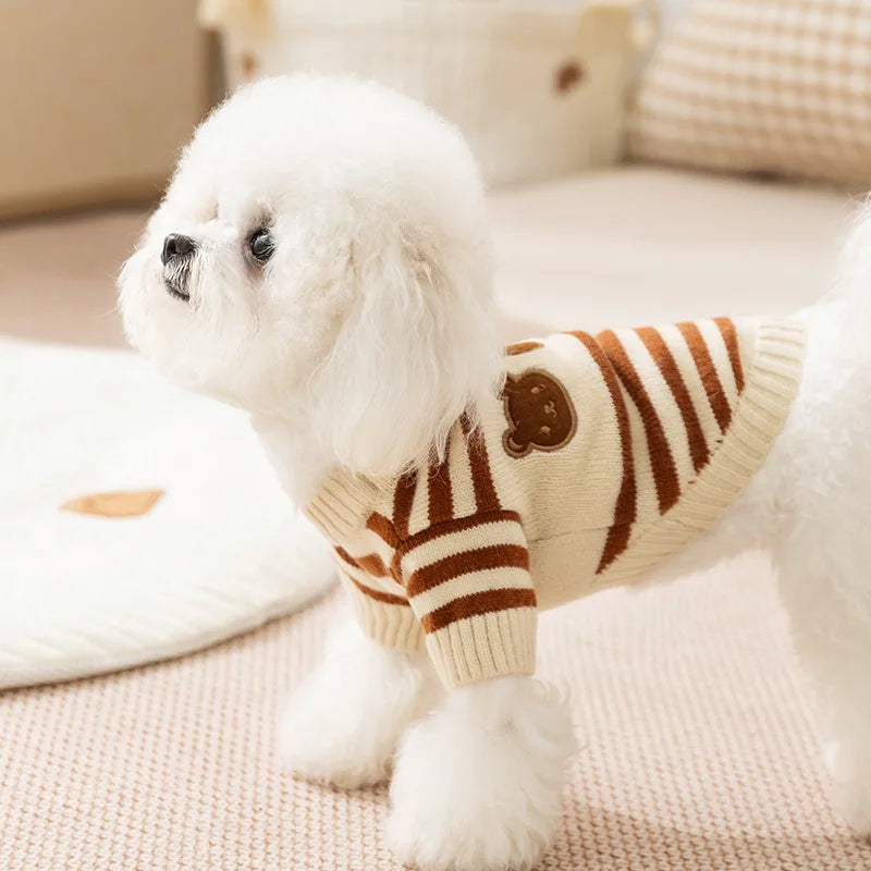 Bear Knit Dog Sweaters