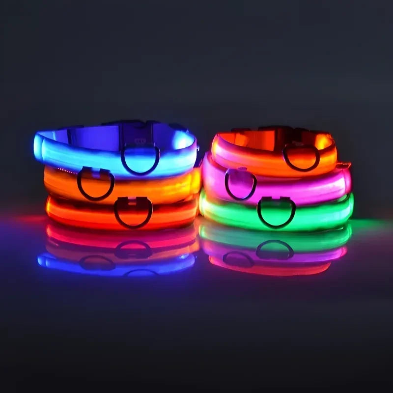 LED Glow Dog Collar & Leash | Nylon Night Safety Flashing Collar