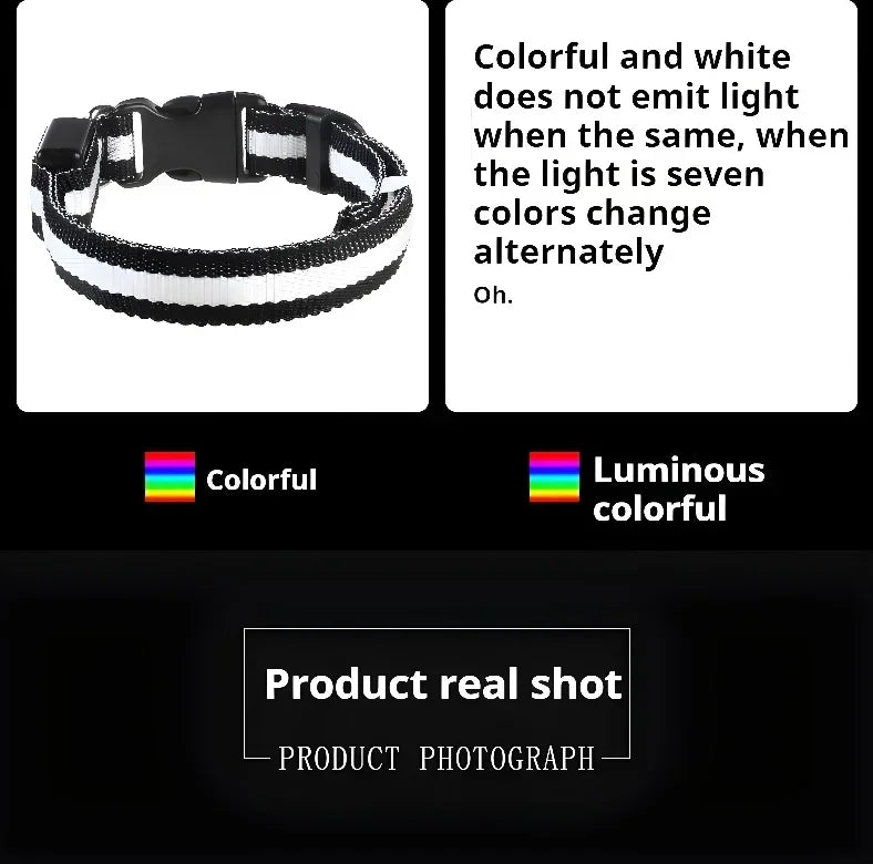 LED Glow Dog Collar & Leash | Nylon Night Safety Flashing Collar