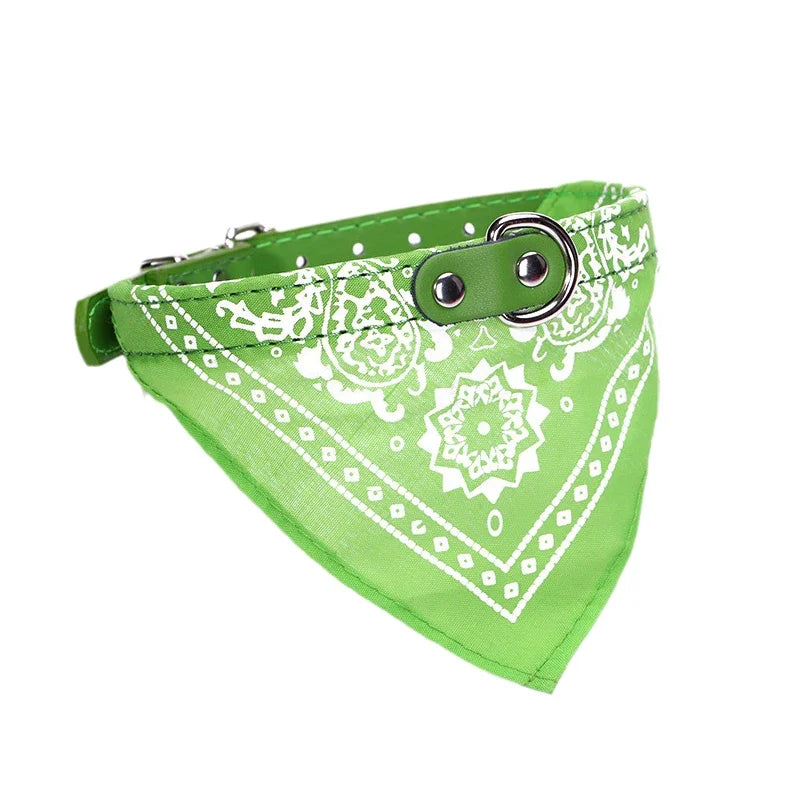 Dog & Cat Collar with Scarf | Adjustable PU Collar | XS–XL