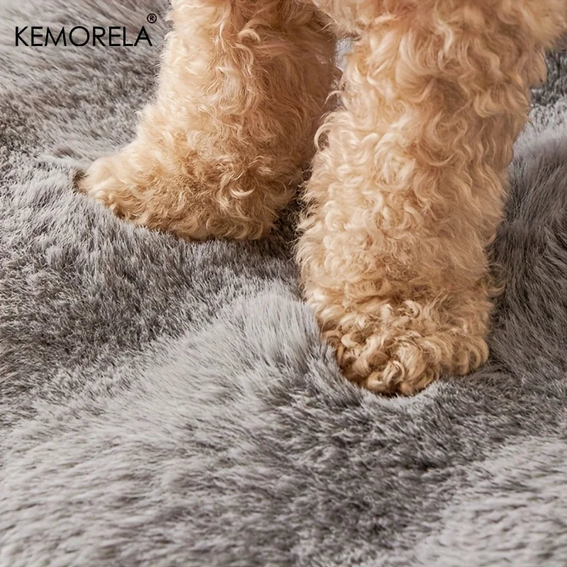 Plush Dog Bed with Pillow