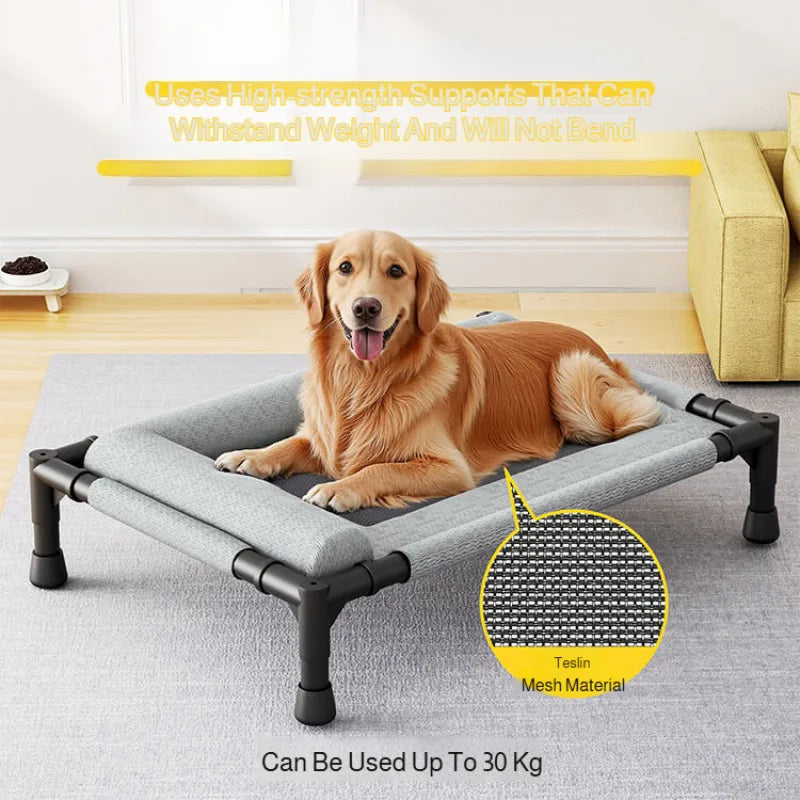 Pet Floor-Off Bed