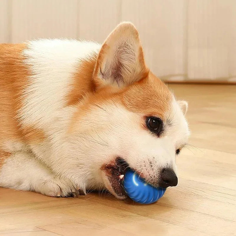 Smart Interactive Bouncing Ball Toy — USB Rechargeable Auto-Moving Ball for SmallDogs & Cats | 3-Hour Playtime | Dual Mode￼ (please observe pets when playing with this toy)