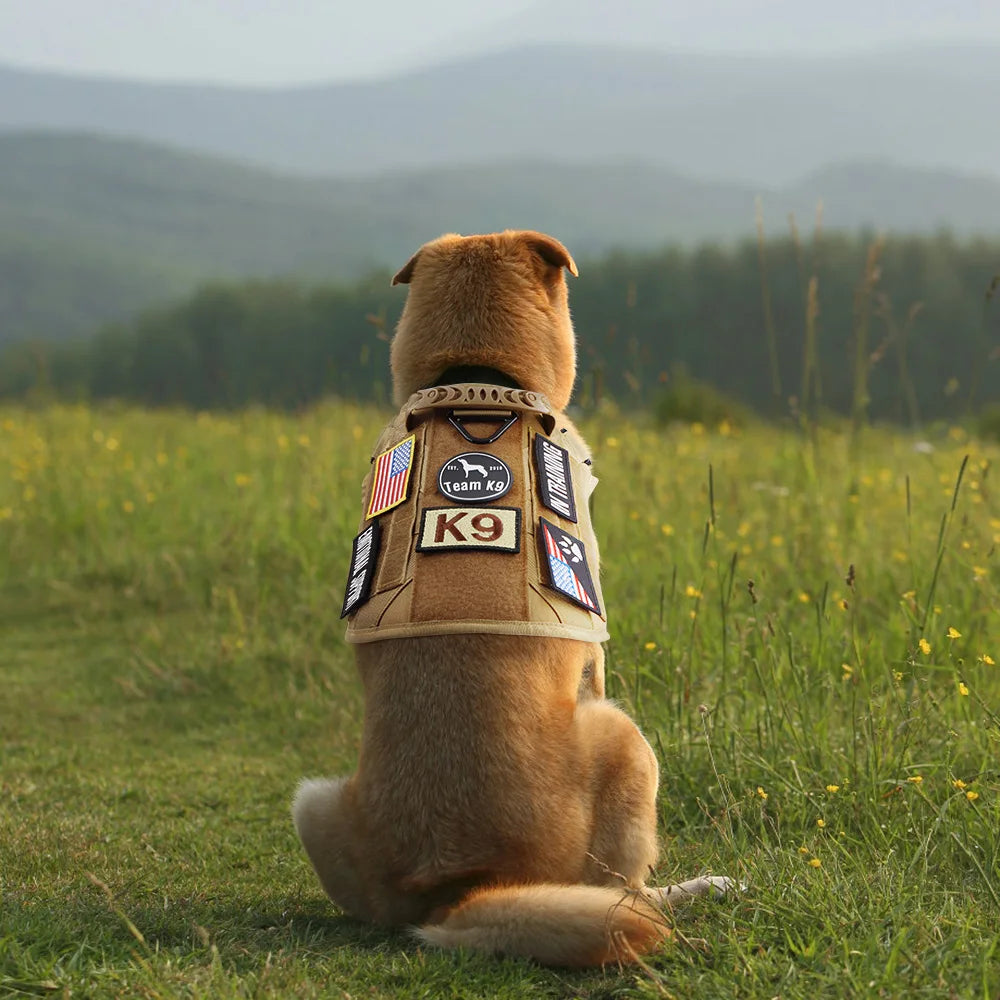 Embroidered Service Dog Patch — Removable Velcro ID Tag for Dog Vests, Harnesses & Tactical Gear
