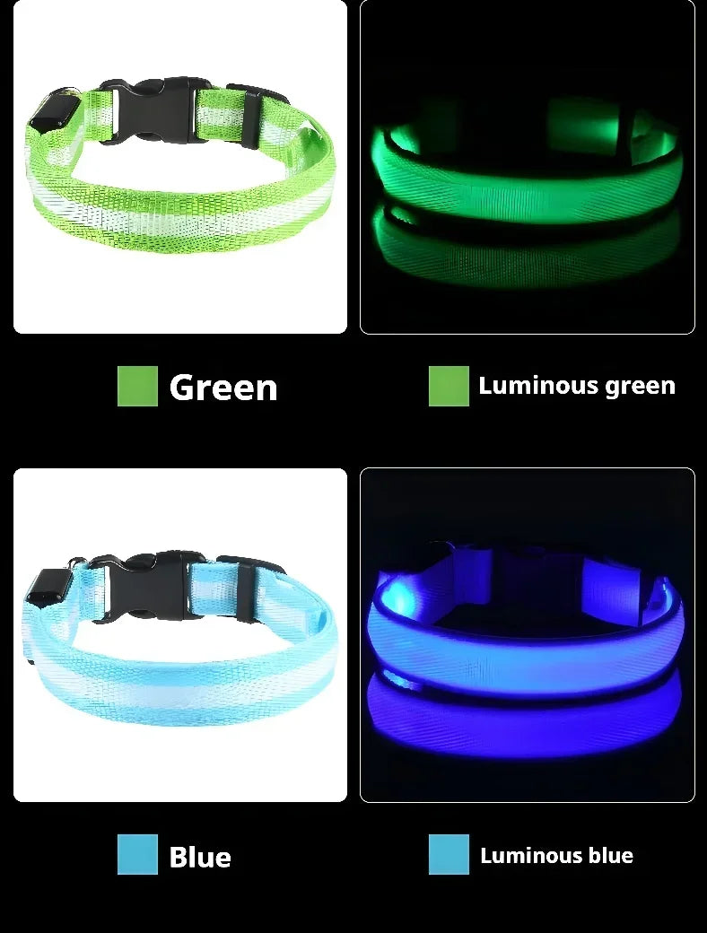 LED Glow Dog Collar & Leash | Nylon Night Safety Flashing Collar