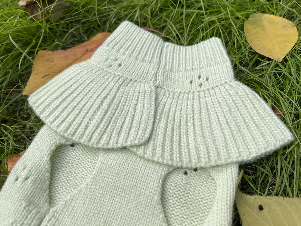 Cashmere Knit Dog Sweater