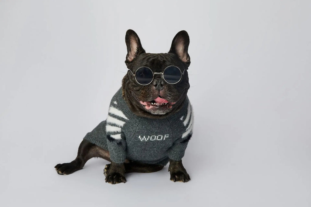 WOOF Knit Dog Sweater — Thick Cotton Jumper for French Bulldogs & Small-Medium Dogs | S–3XL