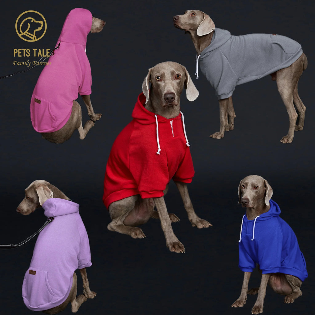 Dog Hoodie with Pocket, Leather Patch, Hook and Loop Fastener Collar -