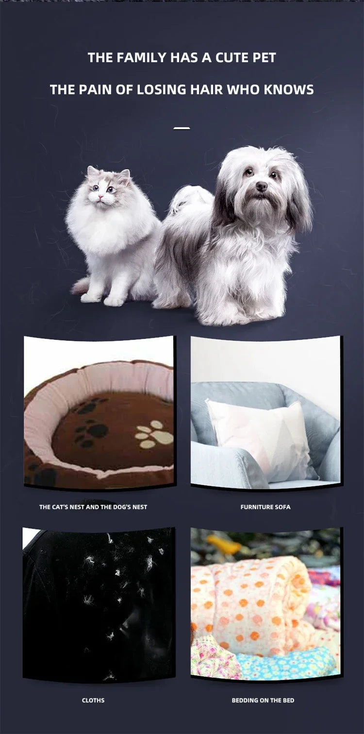 Reusable Pet Hair Remover for Couches, Beds & Car Seats – No Sticky Tape