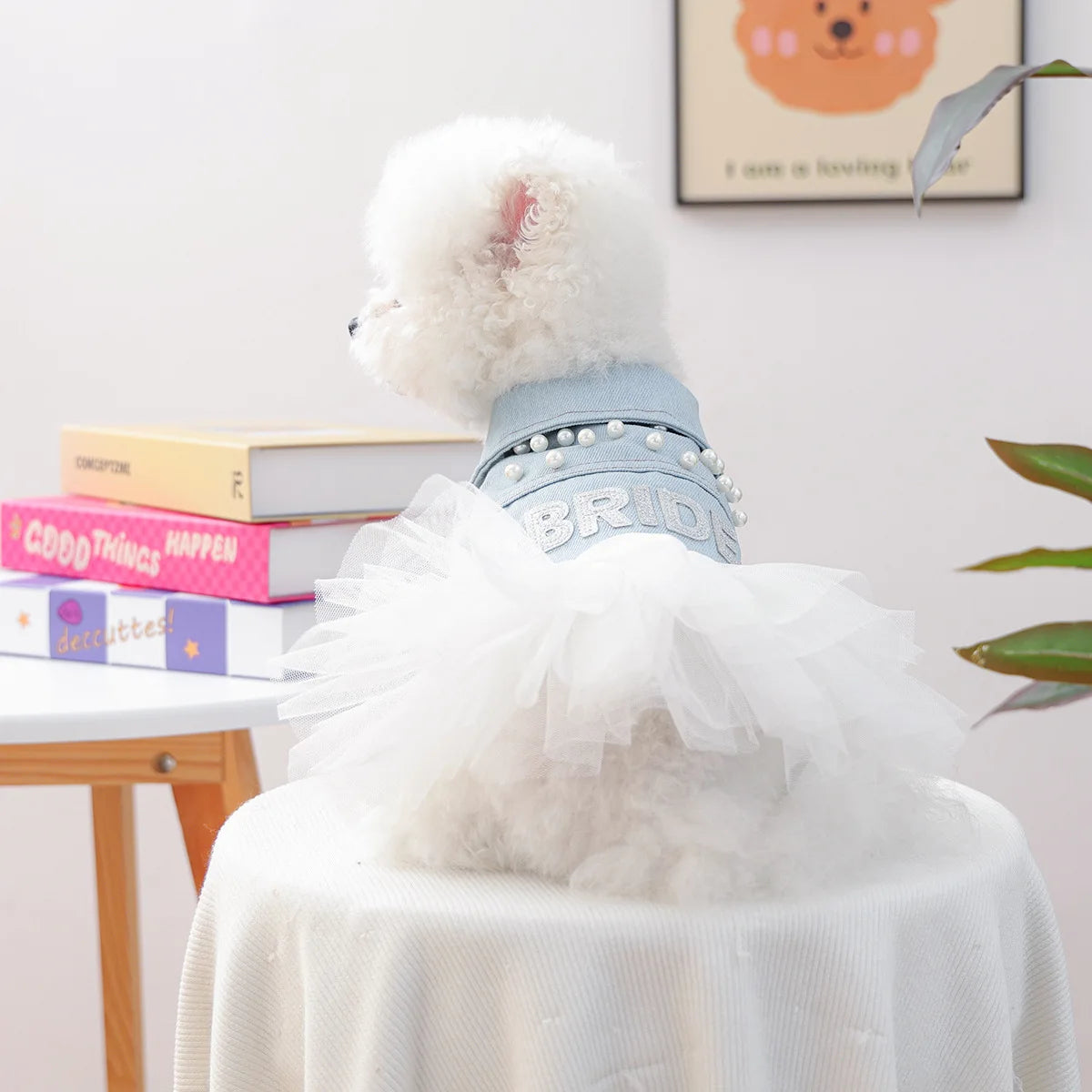 Bride Apparel For Dogs Autumn Denim Coat With Tutu Skirt Pet Dresses For Small Puppy Animal Cat Dachshund Suit Chihuahua Clothes Fashioned Furbabies