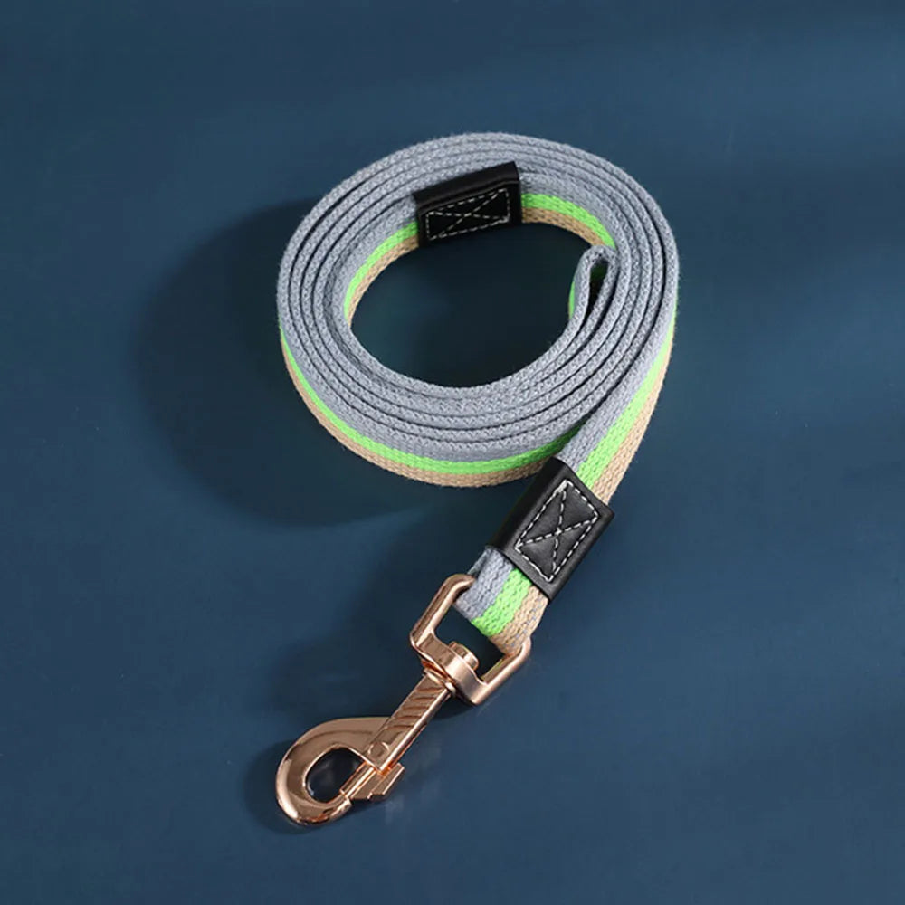 Padded Nylon Dog Training Leash — Strong Traction Lead for Small, Medium & Large Dogs | 4 Colors | 3 Widths | 2 Lengths
