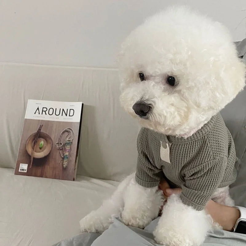 Autumn Winter Dog Shirt Soft Dog Clothes Cute Solid Puppy Bottoming Shirt Fashion Cat Vest Pet Undershirts Bichon Frise Costumes