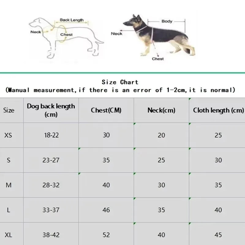 Butterfly Wing Princess Dress - Handmade Lace & Flower Design