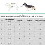 Butterfly Wing Princess Dress - Handmade Lace & Flower Design