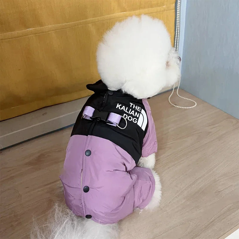 Four Legs Dog Face Design