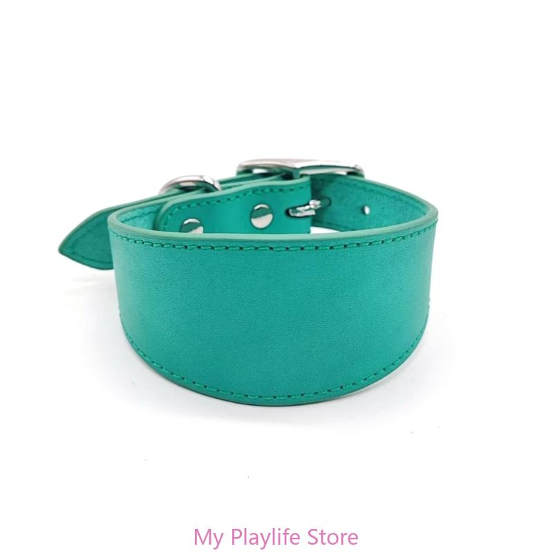Padded Leather Sighthound Dog Collar