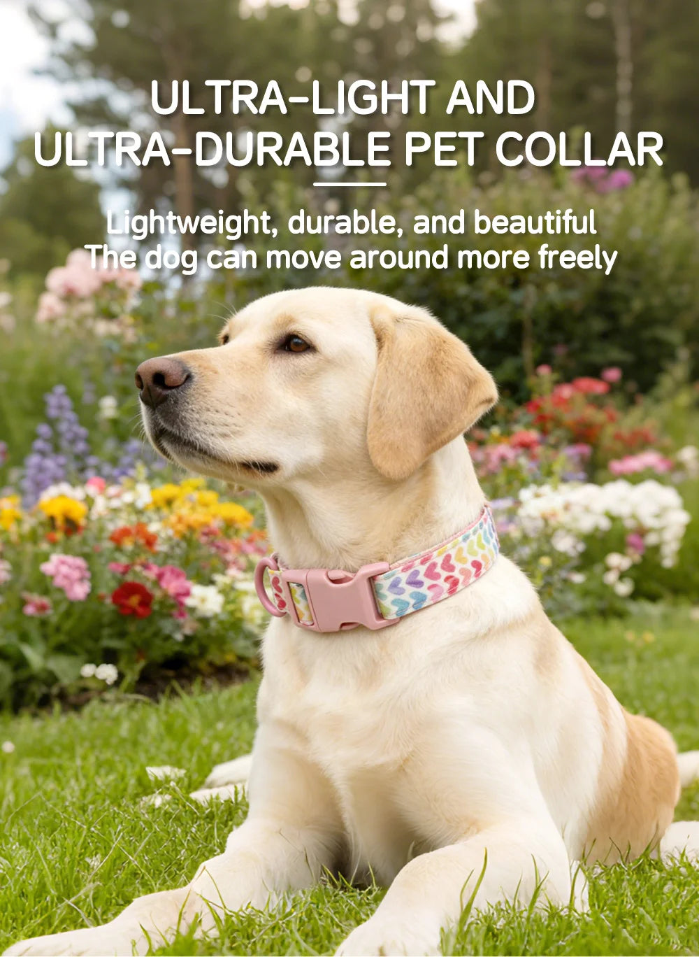 Luxury Bow Dog Collar Set | Cotton & Polyester | XS–XL | With Leash & Poop Bag