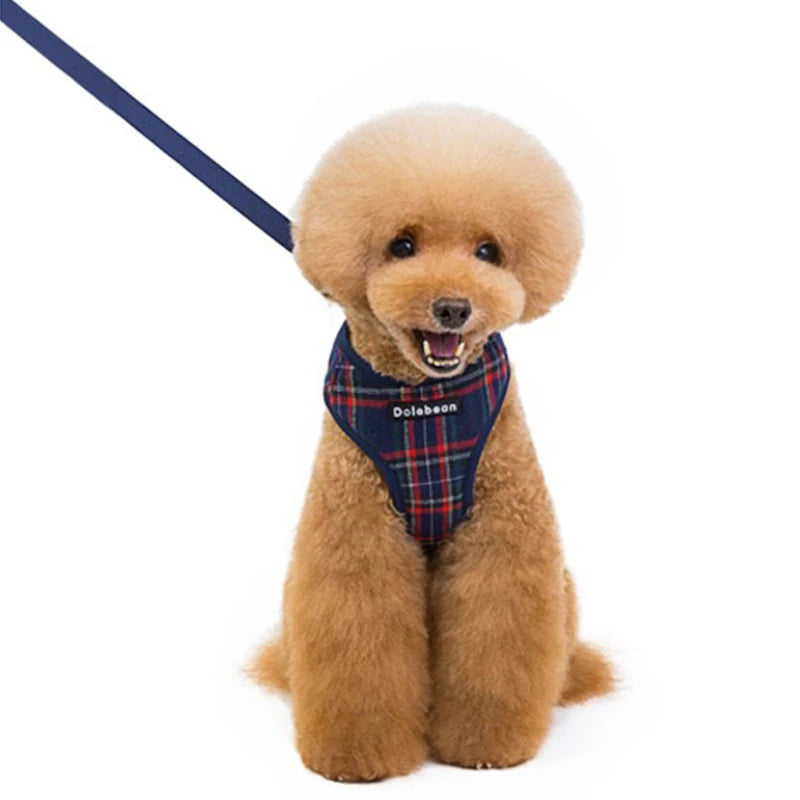 Dog Harness & Leash Set — Soft Vest with 47" Leash for Small & Medium Dogs | Lattice, Denim, Velvet & Print Styles