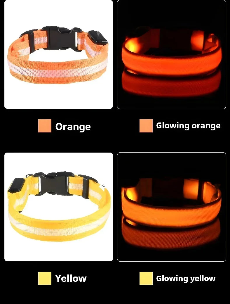 LED Glow Dog Collar & Leash | Nylon Night Safety Flashing Collar