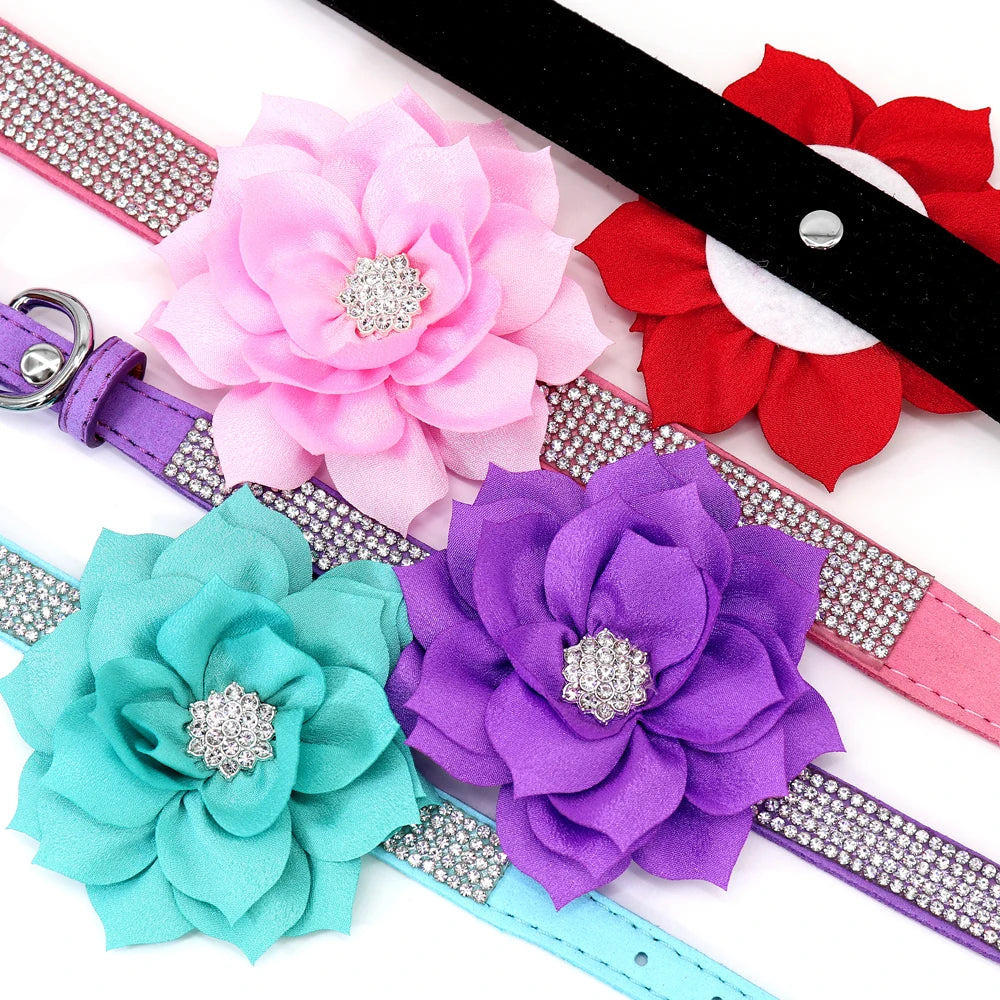Rhinestone Dog Collar — Glitter Floral Suede Leather Collar & Optional 4ft Leash Set | Black, Blue, Pink & Purple | XS–L
