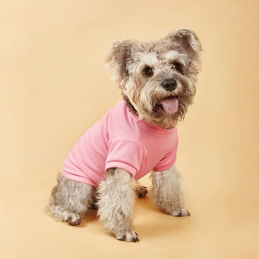 Lightweight Dog T-Shirt
