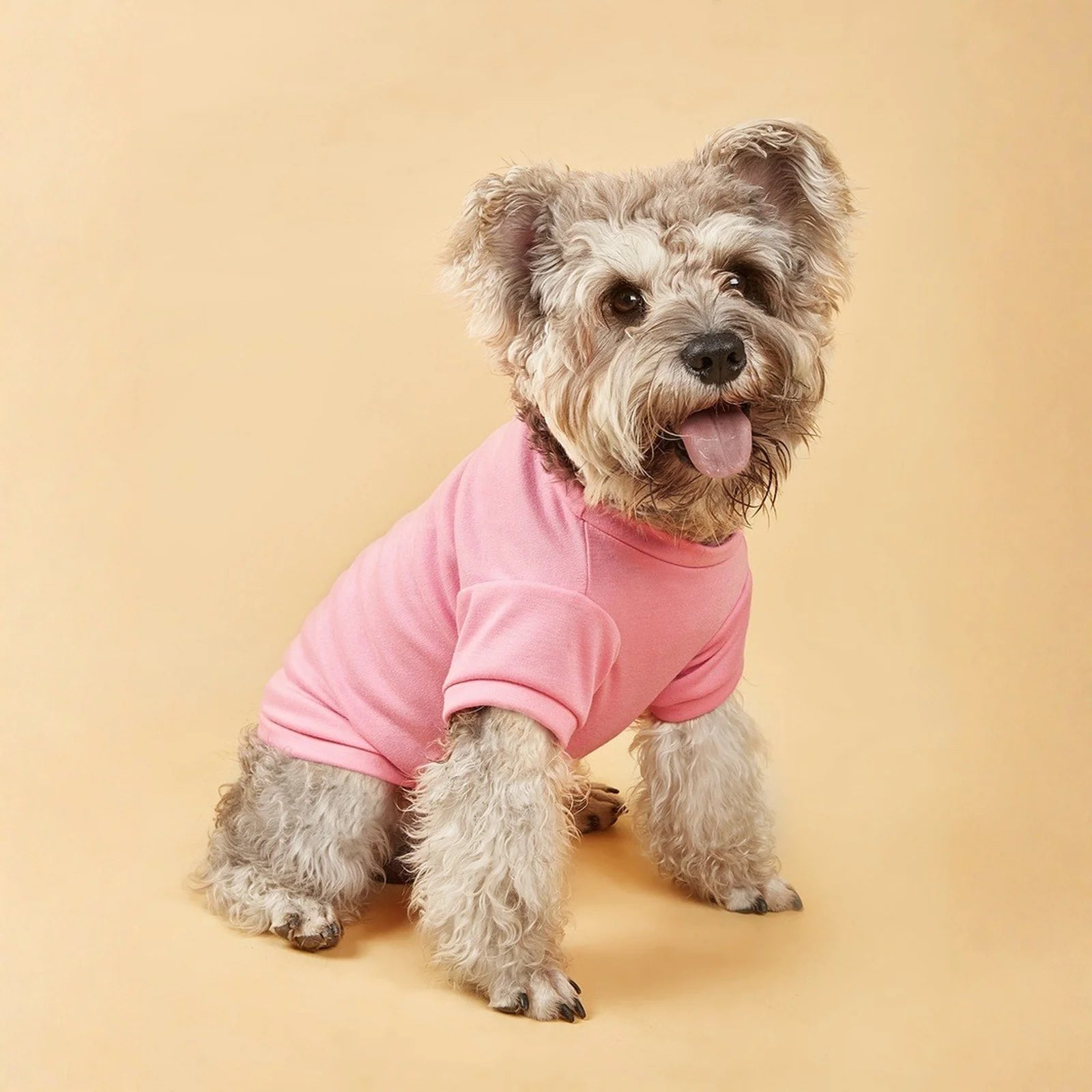 Lightweight Dog T-Shirt