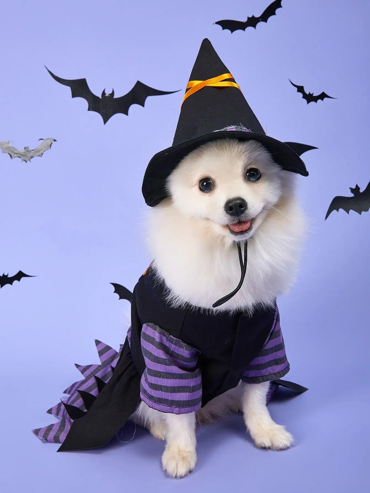 Halloween Witch Pet Costume with Hat | Witch Dress & Hat Cosplay for Dogs & Cats