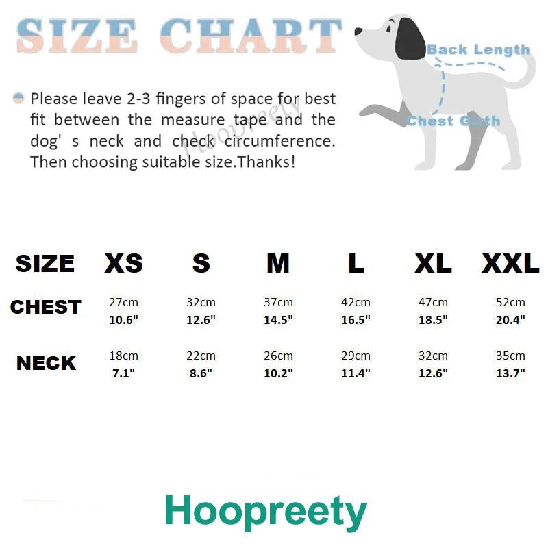 Designer Dog Harness & Leash Set