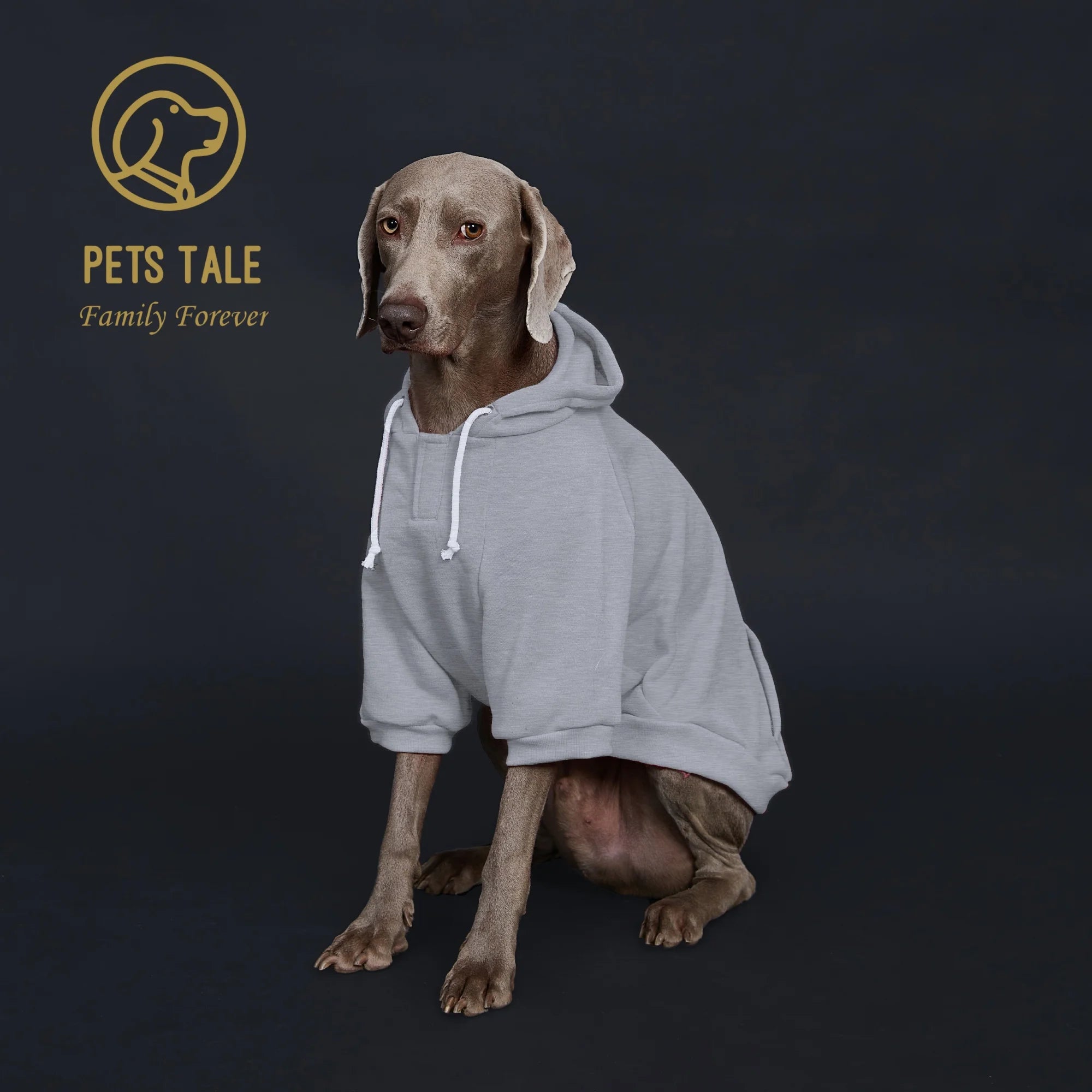 Dog Hoodie with Pocket, Leather Patch, Hook and Loop Fastener Collar -