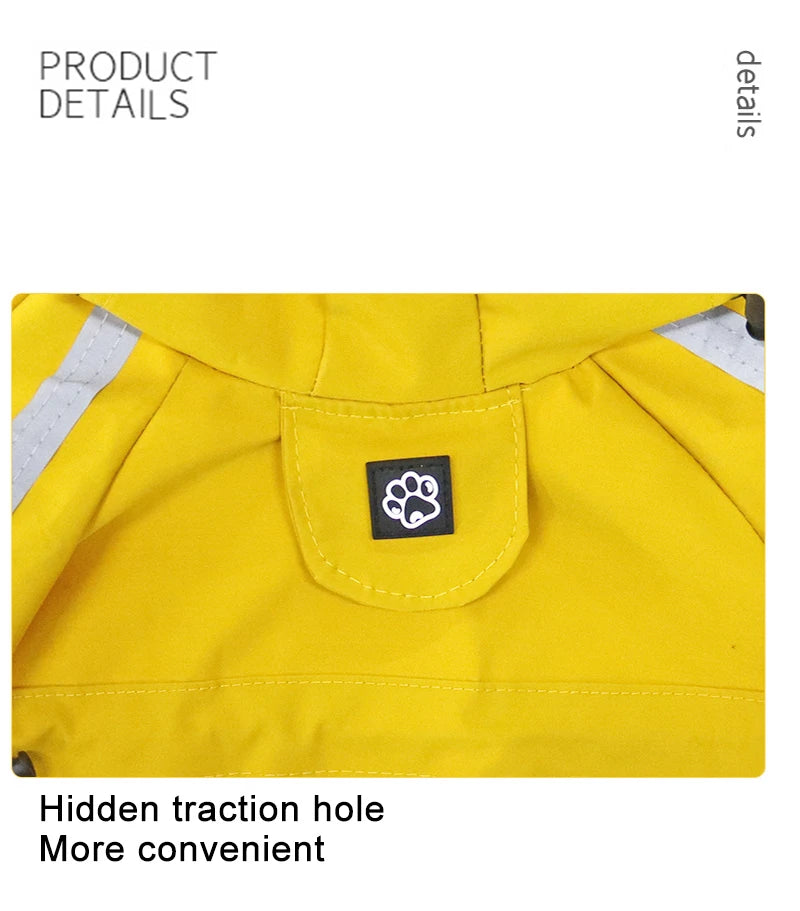 Raincoats Dog Reflective