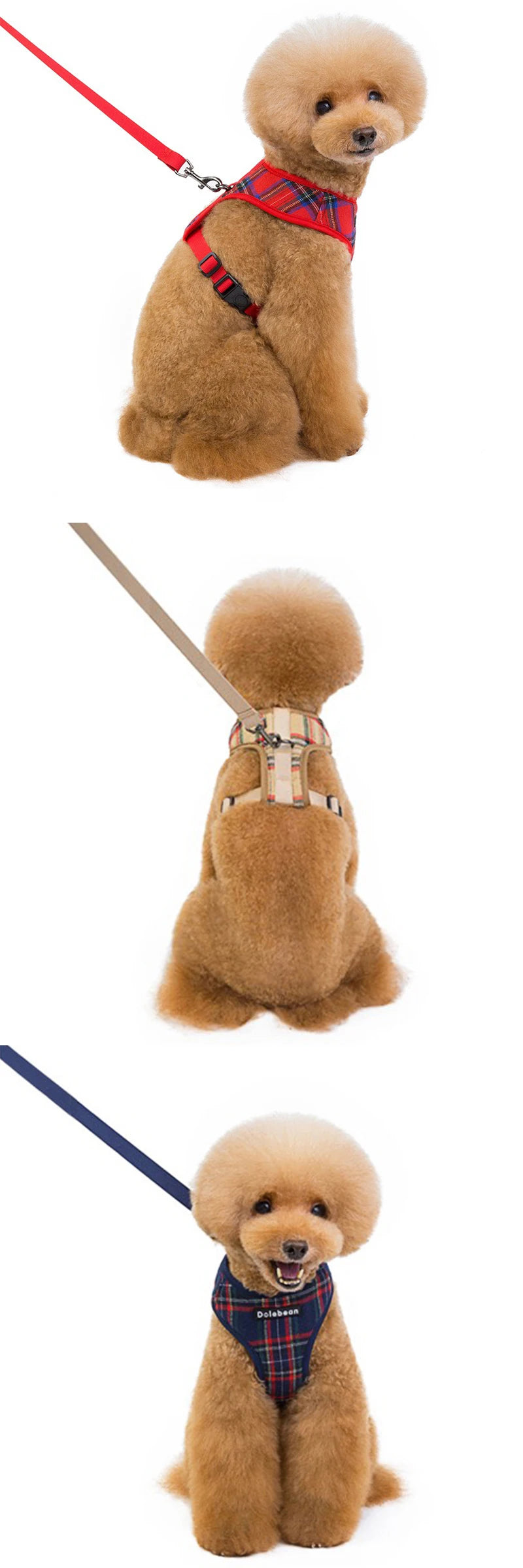 Dog Harness & Leash Set — Soft Vest with 47" Leash for Small & Medium Dogs | Lattice, Denim, Velvet & Print Styles