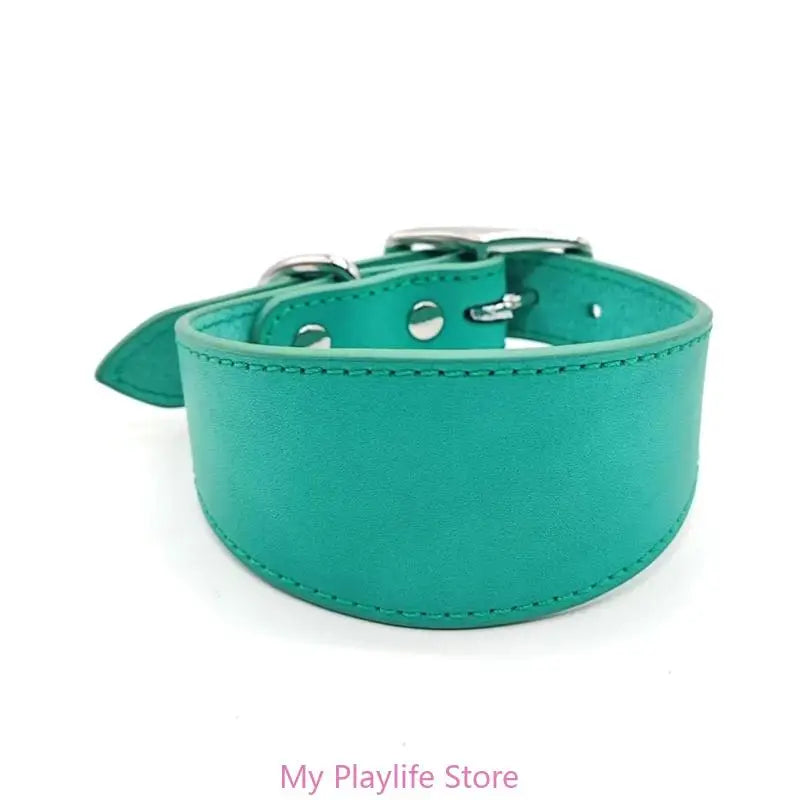 Padded Leather Sighthound Dog Collar